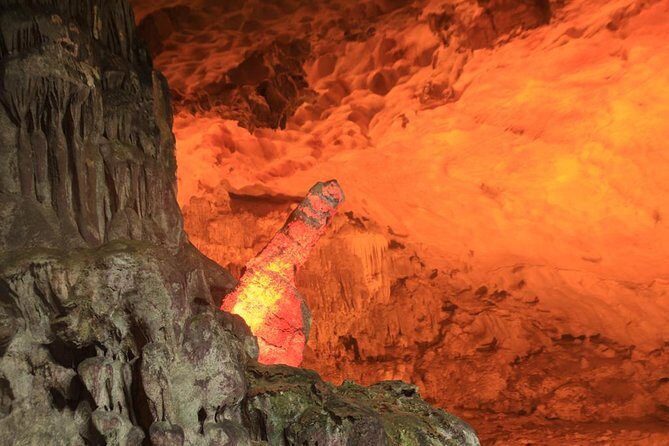 Halong Bay Cruise Day Trip: Titop island, Surprise cave, Swimming, Kayaking - Titop Island: climb for the view, then cool down by the water