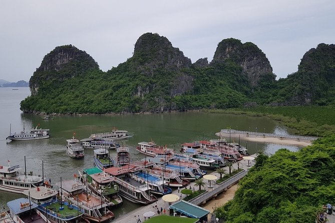 Halong Bay Cruise Tour from Hanoi with Kayak Adventure - First stop: Tuan Chau harbor and lunch on board