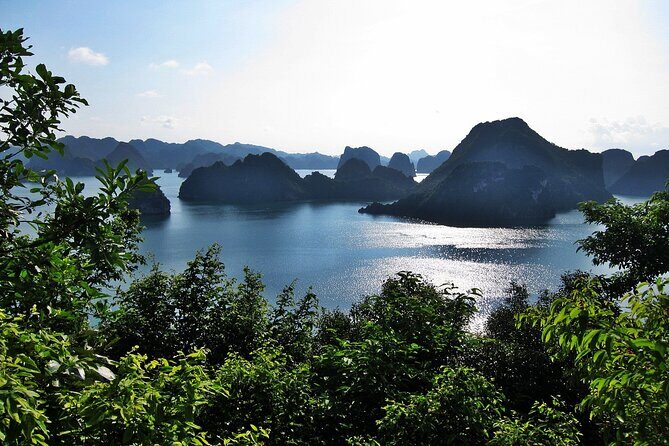 Halong Bay Cruise With 4 Star for 2days/ 1night all included - Day 2: Tai Chi, Thien Canh Son cave, and spring rolls