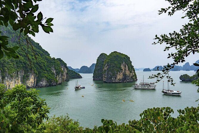 Halong Bay Cruises Luxury 1 Day Tours Included Meals and Pick up & Transfer - The morning-to-bay flow: transfers, timing, and what to expect
