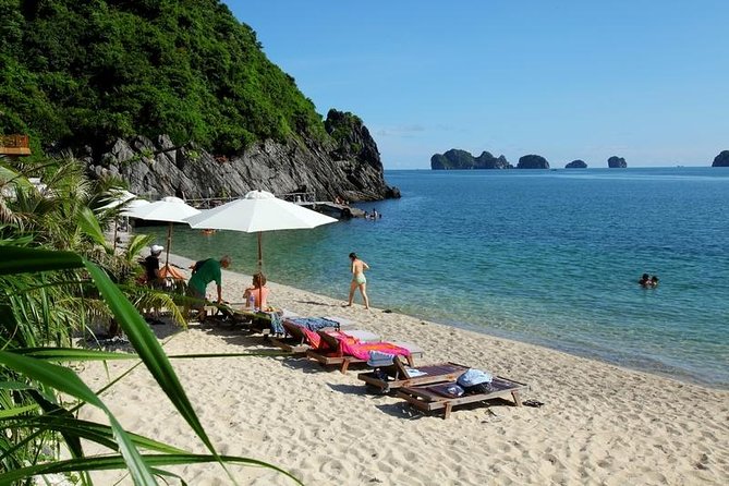 Halong Bay Full-Day - 5.5 Hours On-Boat With Cave And Kayaking - Price and Value at $39: What You’re Really Buying