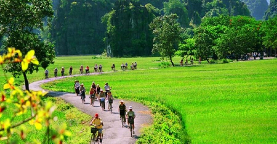 Hanoi: 2-Day Tour to Ninh Binh & Halong Bay With Transfer - Key things that make this tour worth your attention