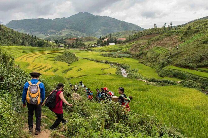Hanoi- 2 Days Sapa moutain trekking with Local Guide and Homestay - Giang Ta Chai: bamboo paths, rice fields, and one big suspension bridge moment