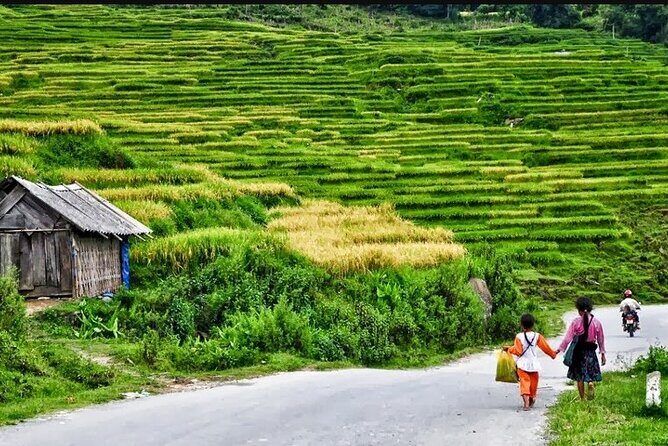 Hanoi- 2 Days Sapa moutain trekking with Local Guide and Homestay - Lunch back in Sapa and the long ride home