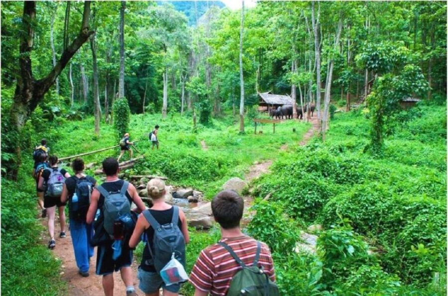 Hanoi: 3-Day Ninh Binh to Bai Tu Long Bay Tour and Cruise - Key highlights to look for
