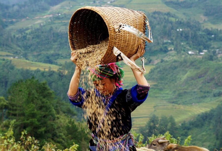 Hanoi: 3-Day Sapa Trek with Homestay - What to pack for Sapa: warm layers, shoes, and the winter fog reality