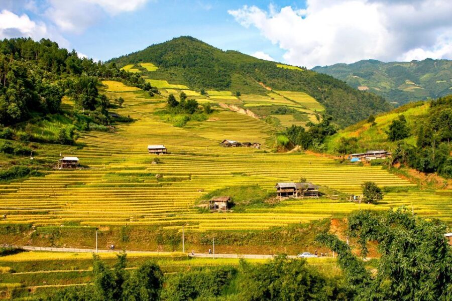Hanoi: 3-Day Sapa Trek with Homestay - Homestay night: the real cultural exchange (and the comfort tradeoff)