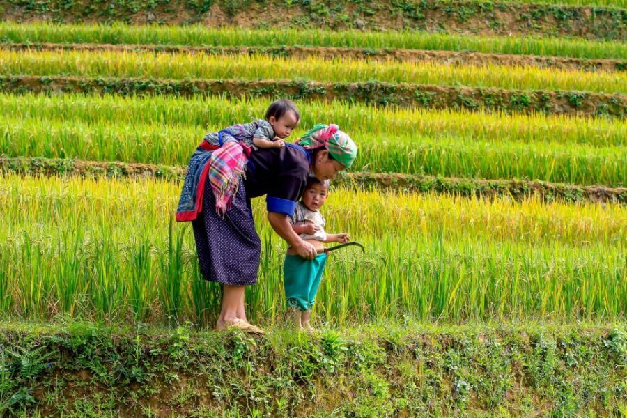 Hanoi: 3-Day Sapa Trek with Homestay - Day 1 in Cat Cat: French-era village, waterfall views, and craft stops