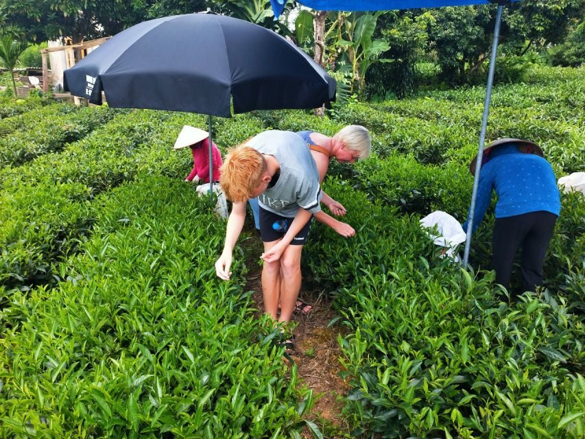 Hanoi: 3-Day Tour to Ban Gioc Waterfall and Ba Be Lake - Day 1: Hanoi to Cao Bang Side—Passes, Gates, Villages, and a Short Walk
