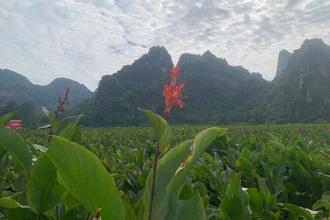 Hanoi - Cao Bang city - Ban Gioc Warterfall 2days/2nights ED7 - Motorbikes, Petrol, and the Comfort Factor on a Busy Day