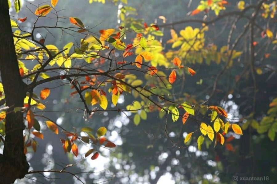Hanoi: City Highlights Tour with Transfer and Lunch - Key Points You Should Know Before You Go