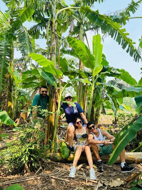 Hanoi City Tour and Countryside 4,5 Hours - Banana Island and the Red River Farms: Hanoi’s Countryside Side