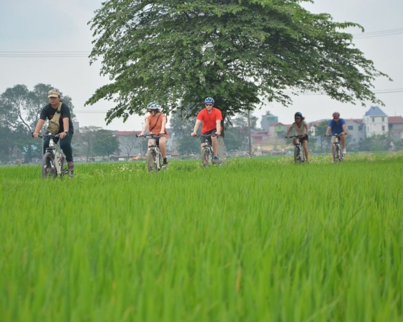 Hanoi Countryside Bike Tour: Red River Culture & Daily Life - Why Hanoi’s countryside ride feels calmer than the city streets