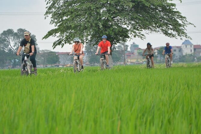 Hanoi Countryside By Bike & Local House and Food Tasting - Key highlights to expect on this Hanoi bike tour