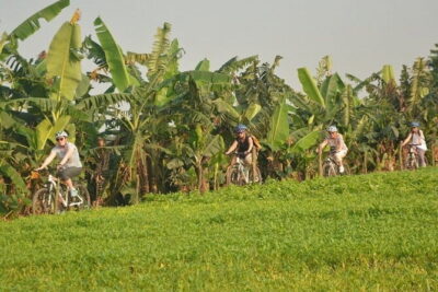 Hanoi Countryside By Bike & Local House and Food Tasting - Getting Moving: Pickup, Bike Rental, and Long Bien Bridge Views