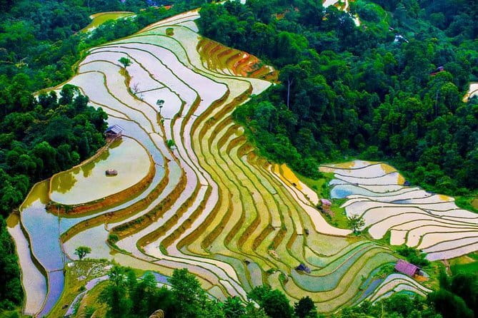 Hanoi Countryside By Bike & Local House and Food Tasting - Who This Tour Fits Best (and Who Might Skip It)