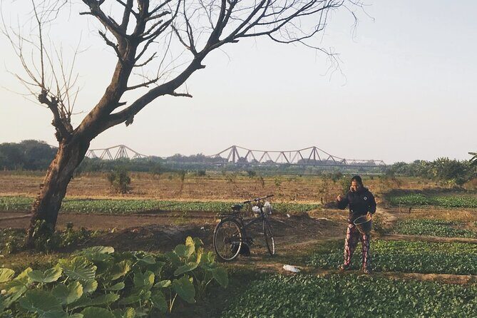 Hanoi Countryside in Banana Island - Top Tours & Activities - Long Bien Bridge to Banana Gardens: The First Push