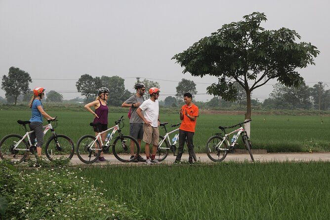 Hanoi Countryside in Banana Island - Top Tours & Activities - Bicycle Through Banana Forest to the Northernmost Island Feel