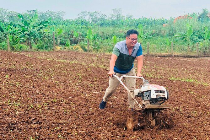 Hanoi Countryside in Banana Island - Top Tours & Activities - Back to Old Quarter: Drinks With the Group Finish