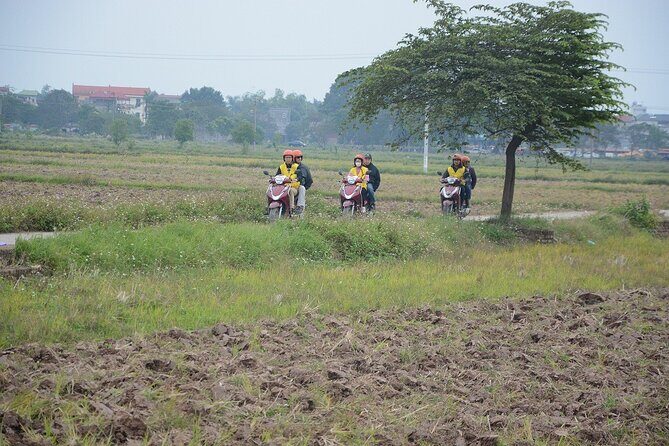 Hanoi Countryside Motorbike Tours Led By Women - Red River Island and farm lanes: banana, vegetables, rice paddy time