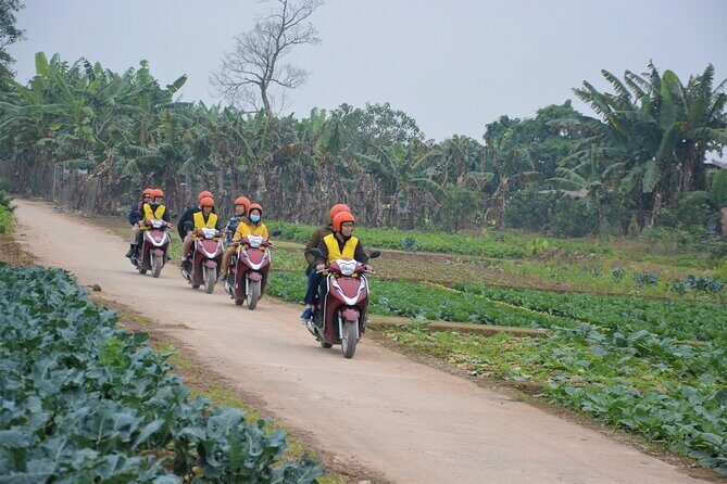 Hanoi Countryside Motorbike Tours Led By Women - Tea with a family in a 200-year-old house: the human center