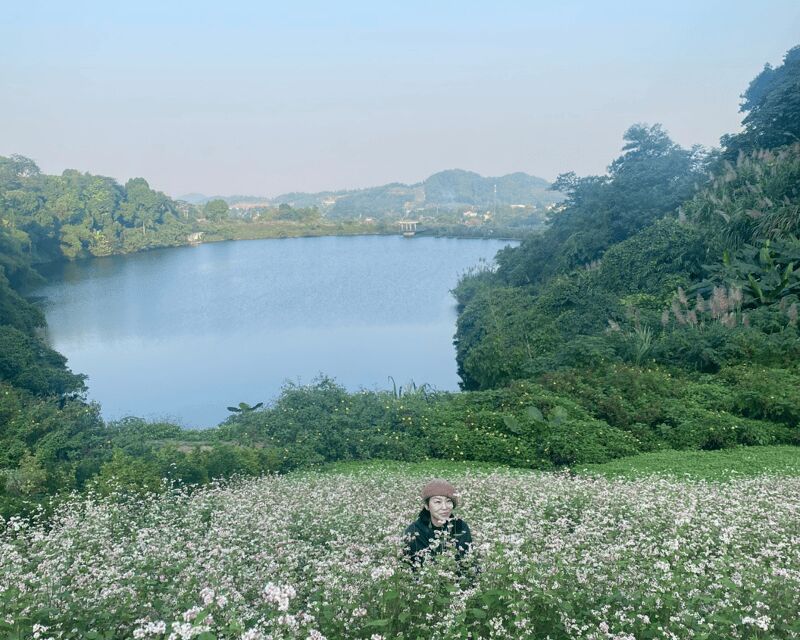 Hanoi Eco Tour: Ba Vi National Park Wonders & Tea Plantation - Price and Value: Is $80 Fair for a Full 9-Hour Loop?