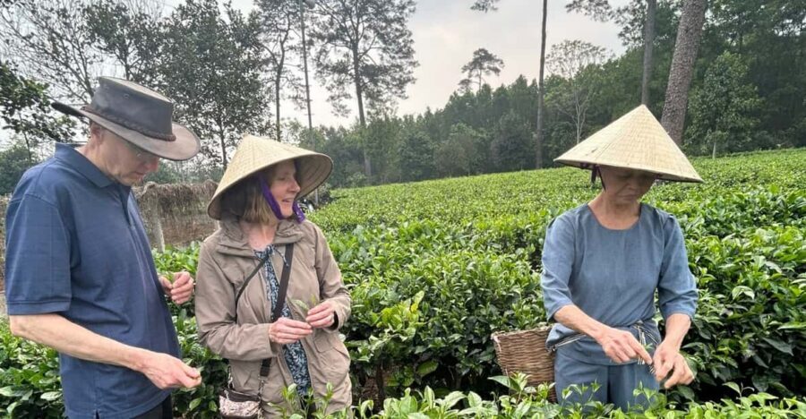 Hanoi Eco Tour: Ba Vi National Park Wonders & Tea Plantation - Đền Thượng Temple: High Air, Spiritual Views