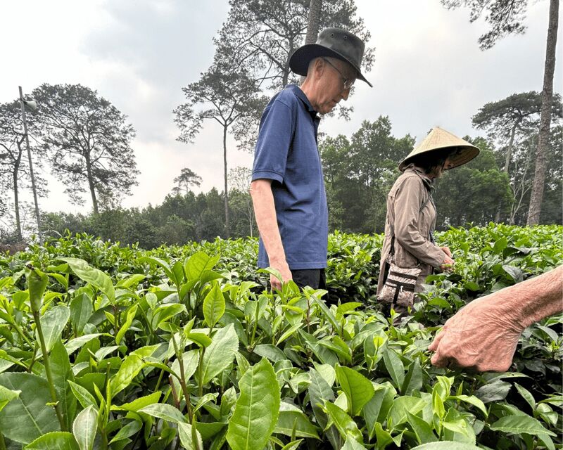 Hanoi Eco Tour: Ba Vi National Park Wonders & Tea Plantation - Traditional Mountain Specialties: How the Day Gets Its Flavor