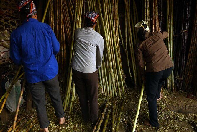 Hanoi Explorer Photo Tour - When this tour fits you best