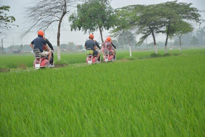Hanoi Food Tours: Hanoi Foodie Scooter Tour Led By Women - Before you ride: what to expect on the scooter-style route