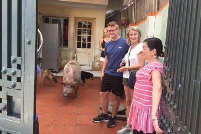 Hanoi Food Walking Tour - Starting at Hanoi Opera House: Simple Meeting, Real Walking
