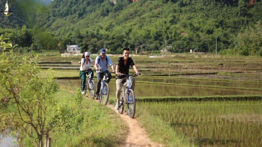Hanoi: Full Day Guided Tour of Hoa Lu, Tam Coc, and Mua Cave - Buffet Lunch in Ninh Binh: Eat Local, Keep It Simple