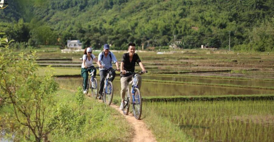 Hanoi: Full Day Guided Tour of Hoa Lu, Tam Coc, and Mua Cave - Hoa Lư Ancient Capital: Feudal Vietnam in a Walkable Story