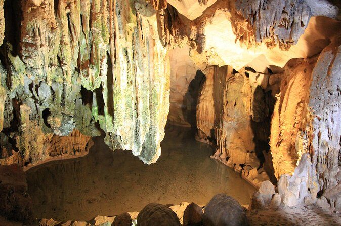 Hanoi - Ha Long Luxury Day Cruise with Kayak & Cave Adventure - Food and Drinks: What the Seafood Lunch Really Gives You