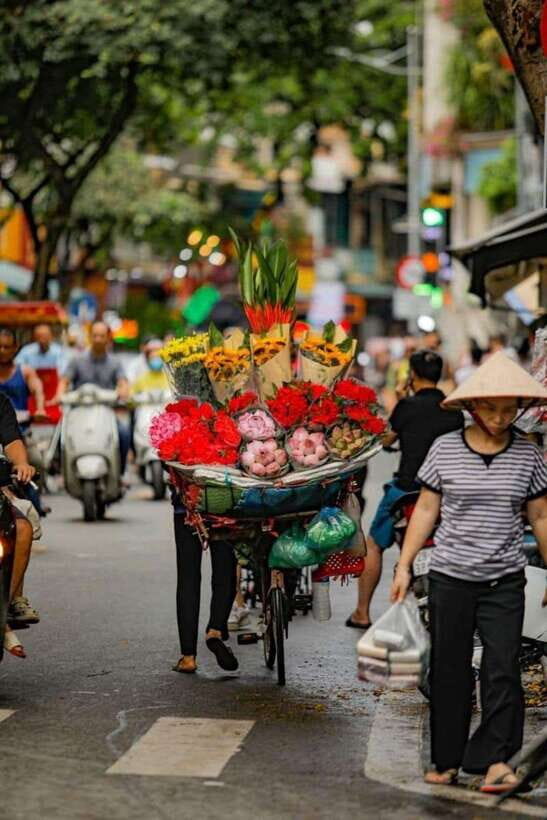 Hanoi: Half-day Private City Tour - Price and value: what $66 buys you in a private half-day