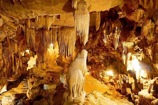 Hanoi - Hoa Lu - Tam Coc - Mua Cave - 1 Day / By Luxury Limousine & Small Group - Food, Tea Break, and What the Price Actually Covers