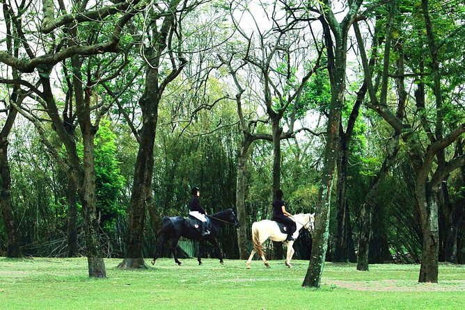 Hanoi Horseback Riding Club & Tours - Exclusive Experience - Key highlights that make this ride worth your time