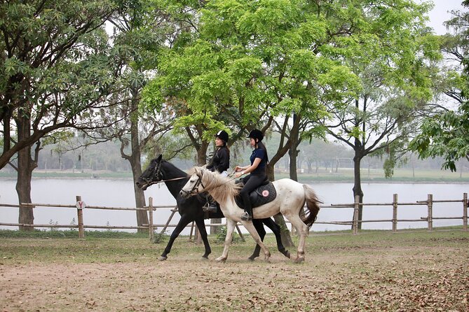 Hanoi Horseback Riding Club & Tours - Exclusive Experience - A calm Hanoi break at Gamuda Yen So Park
