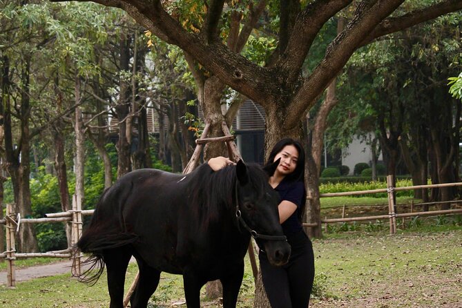 Hanoi Horseback Riding Club & Tours - Exclusive Experience - Stop-by-stop: from horse check-in to riding under the trees