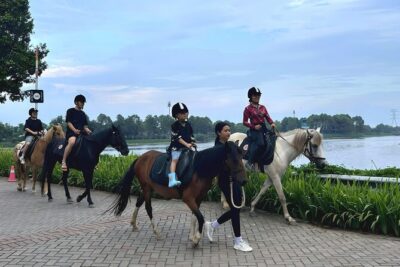 Hanoi Horseback Riding Club & Tours - Exclusive Experience - What your $12 covers (and why it feels fair)