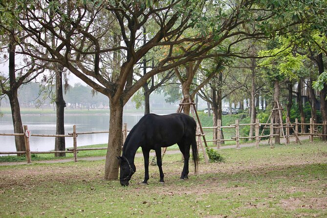 Hanoi Horseback Riding Club & Tours - Exclusive Experience - Price and logistics: meeting point, pickup, and what can cost extra