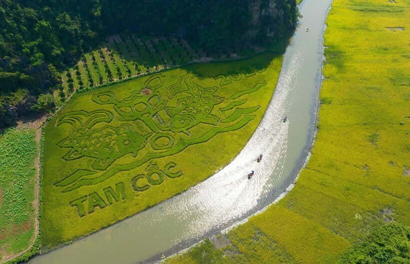 Hanoi: Incense Village, Ninh Binh Hoa Lu, Trang An, Mua Cave - Bicycle through rice paddies: why the ride is the highlight