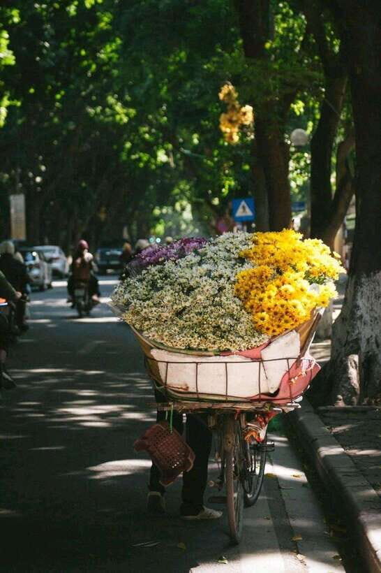 Hanoi Jeep Adventure: A Cultural Journey - Key takeaways