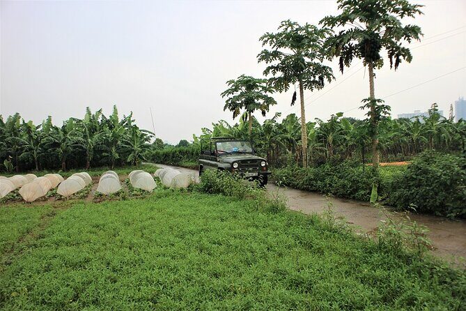 Hanoi Jeep Tours Led By Women: Hanoi Countryside By Legend Jeep - Hồ Truc Bạch and Lunch in Town: Egg Coffee Included