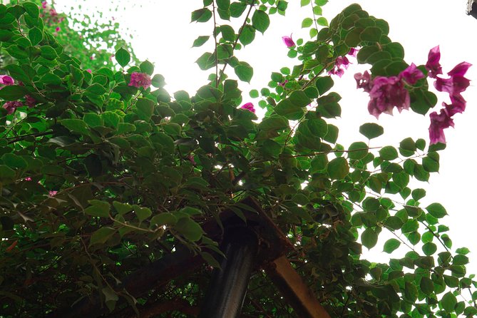 Hanoi Market & Villa Cooking Class: Free Old Quarter Transfer - Lunch or Dinner + Drinks: What’s Included With Your Meal