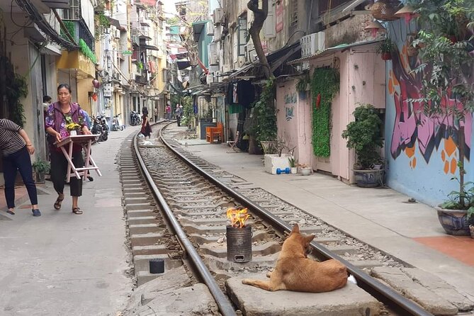Hanoi Michelin Star Street Food Walking Tour & Train-Street - Quán Bia Hơi Nam Còi: the draft beer served fresh