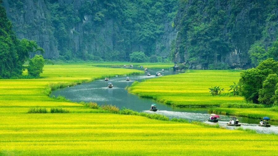 Hanoi: Ninh Binh Day Trip Visit Hoa Lu, Tam Coc & Mua Cave - Price and what you actually get for $52