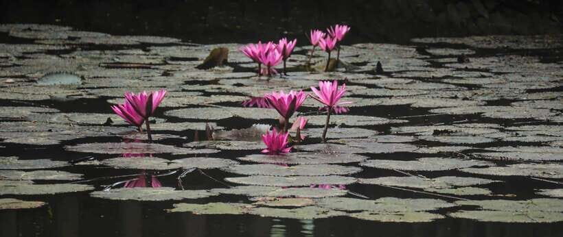 Hanoi: Ninh Binh, Tam Coc, Mua Cave & Hoa Lu with cycling - Who This Tour Suits Best (And Who Should Skip It)