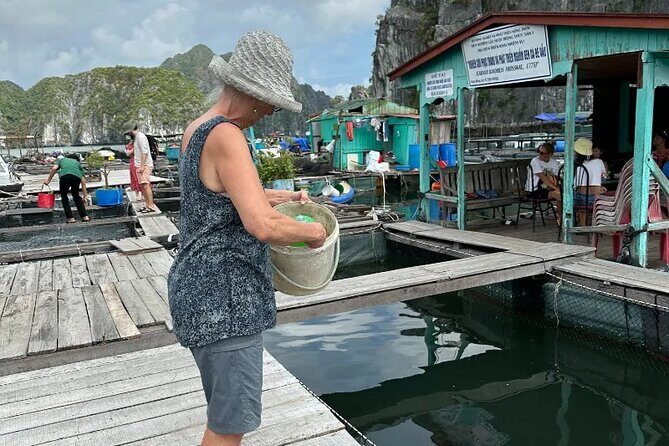 Hanoi-Ninhbinh-Halong: Lan Ha Bay 2 Days 1 Night Overnight Cruise - Who should book this cruise, and who might not love it