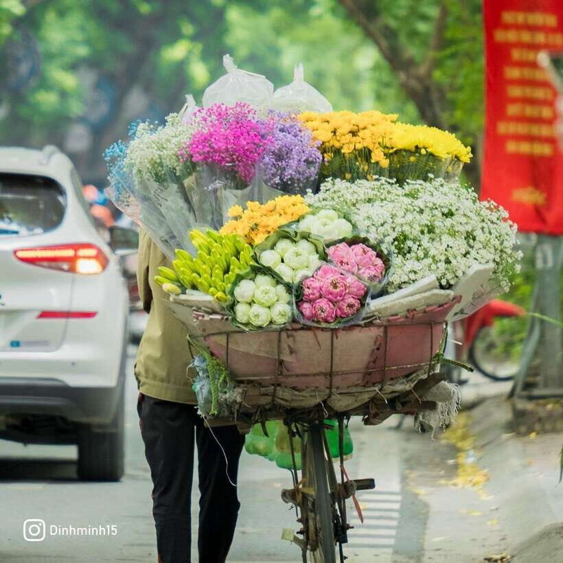 Hanoi Old Quarter City Tour With Professional Guide - Transportation choices in Hanoi: walking vs car, and Grab is extra
